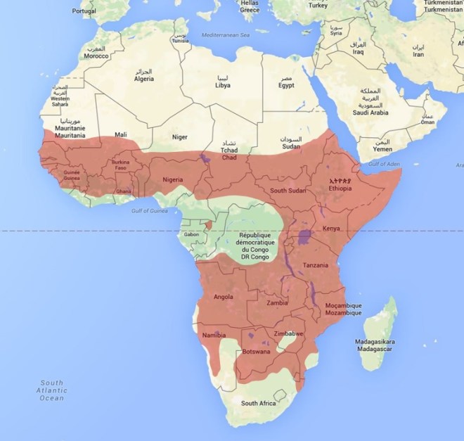 Distrubution des hyènes tachtéees
