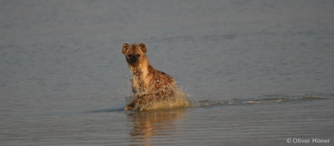 Thèmes de recherche