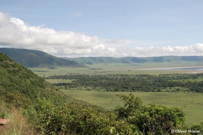 Vue du côté ouest du Cratère de Ngorongoro