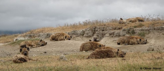 Triangle - les Travailleurs frontaliers