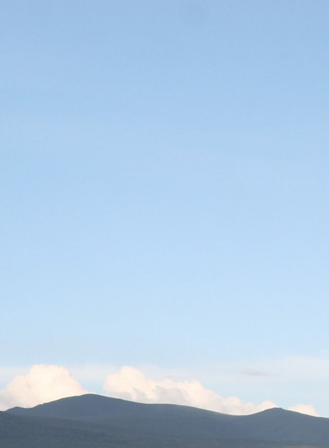 Projet Hyène du Cratère du Ngorongoro